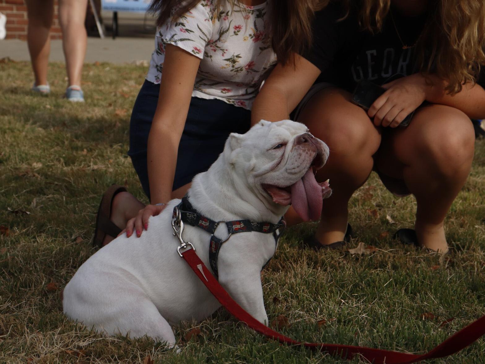 Rescue Paws UGA hosts 2nd annual Fall Festival